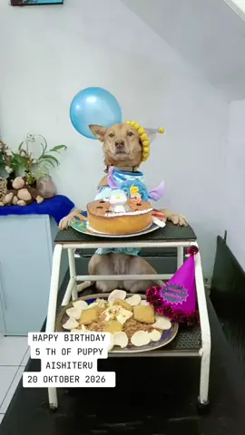 HAPPY BIRTHDAY 5 TH PUPPY AISHITERU | FUDIKEN PUPPY Makasih banyak buat kalian yang udah nonton videonya guys 😀 Jangan lupa like, komen dan subscribe ya guys. Semoga terhibur  Follow Instagram aku :  https://www.instagram.com/fudikenpictures?igsh=MXNtNXAxOWNvNHA1bA== Follow Tiktok Aku :  https://www.tiktok.com/@fudikenproduction?_t=8XQDs23QMdN&_r=1 https://www.tiktok.com/@fudiken_pictures?_t=8XQDwmsz5AA&_r=1 #Fudikenproduction #Fudikenpictures #Fudikenpuppy #Mukbangvideo #fyp