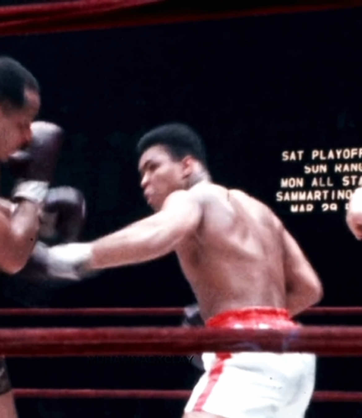 #muhammadali #boxing #boxer #sports #fyp 