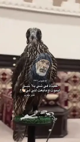 #فايز_معزب #فنوش١٩٣١ #اعادة_النشر🔃 