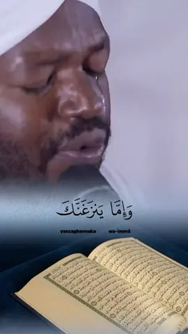 #قران_كريم #quran #قران 