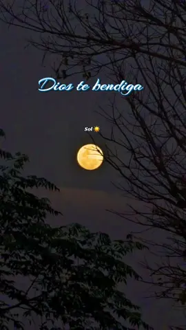 #oraciondelanoche #oracionespoderosas #oracionesdiarias #oracionesmilagrosas #parati 