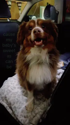 #mybaby #dog #river #cute #fypシ゚viral 