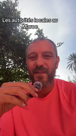 Mais quelle est la hiérarchie des autorités administratives au Maroc ?#maroc #marrakech #france #vacances #expat 