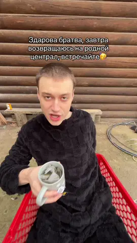 #nekoglai 