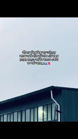 জীবনে কিছু কিছু বড় ভাইয়ের সাথে না মিশলে বুঝতাম এই না যে রক্তের চেয়েও আপন বলতে একটা সম্পর্ক আছে..!🫂🫀 #status #foryoupage #tiktok_trending_video #unfrezzmyaccount #bdtiktokofficial @TikTok @For You @TikTok Bangladesh 