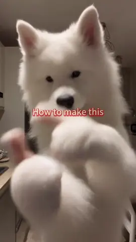 Want your pet to join the Bad Times trend too? 😂🐾 Because apparently cats and dogs can hit the beat better than we can 😭🔥 Try it with your pet’s photo 👇 Copy my video link → Open Kling AI App → Paste the link → Swap in your pet’s photo → Generate  #BadTimes #FunnyPets #KlingAI #KlingCreators #fyp