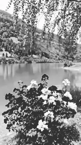 في العمر حكمه بسيطة #كلام_من_ذهب #عبارات #خواطر #حكم#اكسسسسسبلورررررررررر 