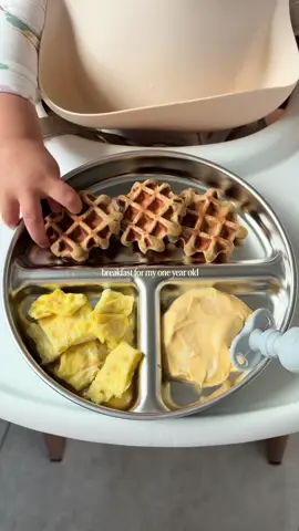Scottie’s breakfast plate today 🤎 banana, peanut butter and oat mini waffles + scrambled eggs + pumpkin yogurt  #toddlerbreakfast #kidsbreakfast #blw #babyledweaning #toddlerfood