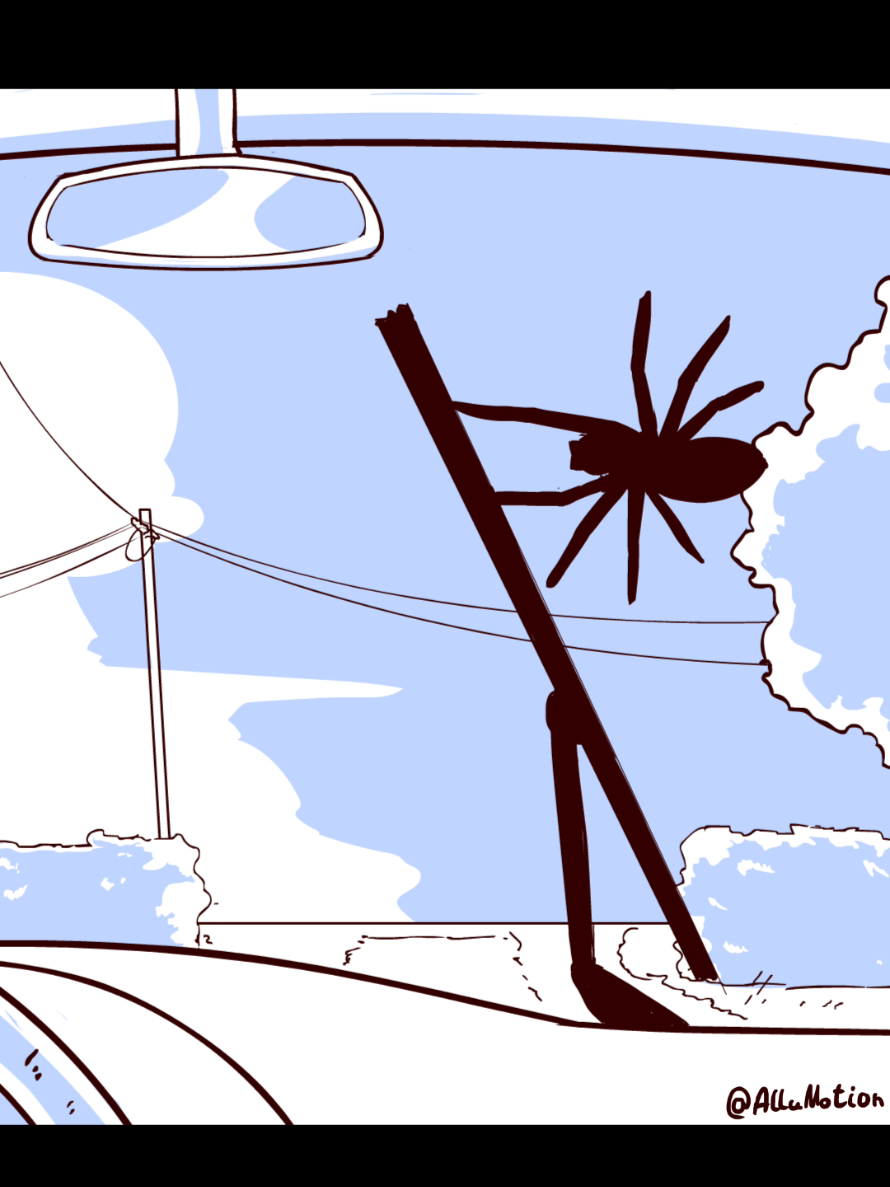 ​The Spider on the Windshield. 🕷️ #art #fyp #animation #artist  #draw 