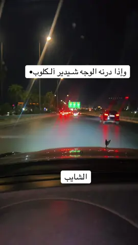 #عباراتكم_الفخمه📿📌 #عبارات_جميلة_وقويه😉🖤 #تصويري #موصل #بغداد_بصرة_موصل_الكويت_الخليج_دبي_ 