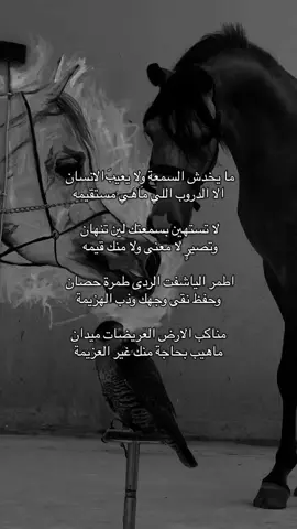 @c.uod {🪐〽️}🎃: يعد برج المملكة في مدينة الرياض ب​عد من أشهر معالم المملكة العربية السعودية، وأحد الرموز التي تعكس التطور العمراني الحديث في العاصمة. يقع البرج على طريق الملك فهد، وافتتح عام 2002م، ويبلغ ارتفاعه نحو 300 متر ويتكون من 99 طابقًا. تتميز الواجهة الفريدة التي ينتهي بفتحة كبيرة في أعلى البرج، وأصبح هذا التصميم علامة مميزة يمكن التعرف عليها بسهولة ضمن أفق مدينة الرياض. كما يحتوي الجزء العلوي من البرج على جسر المشاهدة المصمم من الفولاذ والزجاج، والذي يوفر إطلالة بانورامية واسعة على العاصمة من ارتفاع يقارب 300 متر، ويعد من أشهر التجارب التي يقصدها الزوار في المبنى. لا يقتصر برج المملكة على كونه معلمًا معماريًا بارزًا، بل يضم مجموعة متنوعة من المرافق، منها المكاتب الإدارية والشقق السكنية الفاخرة والمطاعم والمقاهي ومرافق المناسبات، بالإضافة إلى فندق فورسيزونز الرياض ومركز المملكة التجاري الذي يضم العديد من المتاجر والعلامات التجارية. وقد ساهم هذا التنوع في جعل المبنى وجهة تجمع بين العمل والسكن والتسوق والترفيه والإقامة الفندقية في مكان واحد. ومنذ افتتاحه أصبح برج المملكة جزءًا من هوية الرياض الحديثة، وارتبط اسمه بالتطور العمراني الذي شهدته العاصمة خلال العقود الماضية. وعلى الرغم من ظهور العديد من المباني وناطحات السحاب الجديدة، لا يزال البرج يحتفظ بمكانته بسبب تصميمه المميز وموقعه الحيوي وشهرته الواسعة. ويعد جسر المشاهدة والفتحة الموجودة في أعلى المبنى من أبرز عناصره، كما أصبح البرج مكانًا شهيرًا للتصوير والاستمتاع بإطلالة المدينة، خصوصًا وقت الغروب وفي المساء عندما تظهر أضواء الرياض من الأعلى. وبفضل موقعه وتصميمه ومرافقه المتنوعة، أصبح برج المملكة واحدًا من أبرز المعالم التي تمثل مدينة الرياض، وجزءًا مهمًا من صورتها العمرانية الحديثة. فهو يجمع بين الهندسة المعمارية المميزة والاستخدامات التجارية والسكنية والفندقية والترفيهية، ويظل حتى اليوم من أشهر الرموز التي يعرف بها سكان العاصمة وزوارها المملكة العربية السعودية.... fyp #foryou #fy لايك تعبت وا انا اكتب عشانك #المملكه_العربيه_السعوديه #السعودية_خط_أحمر 