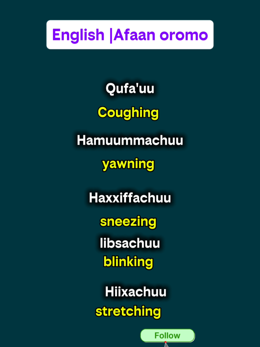 English with Afaan oromo the commoon words we use in our daily routine or for medical purposes with their definitions  Coughing _ Qufa'u Yawning _ Hamuummachuu Sneezing _Haxxiffachuu Blinking _Libsachuu Stretching _Hiixachuu practice daily and improve your english #dailylife #english #language #afaanoromoo #foryou 