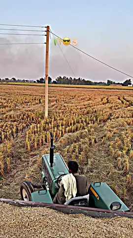 Sachi gal a #foryoupage #jattlife #zimedarlife🌾🚜 #virall #foryou 