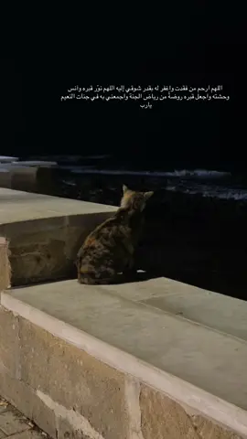 #اكسبلور 