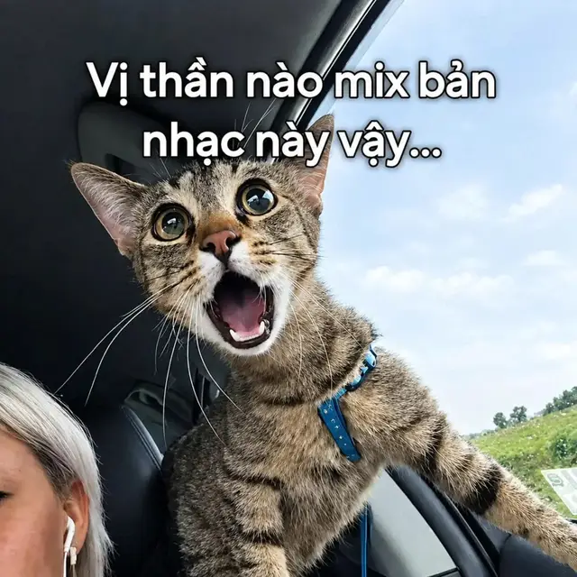 BÓNG PHÙ HOA - Long Vương Remix || 🎧 Đeo tai nghe, bật cảm xúc, để từng giai điệu chạm đến trái tim ❤🎶 #music #nhac #nhachay #nhachaymoingay❤️ #nhachottiktok 