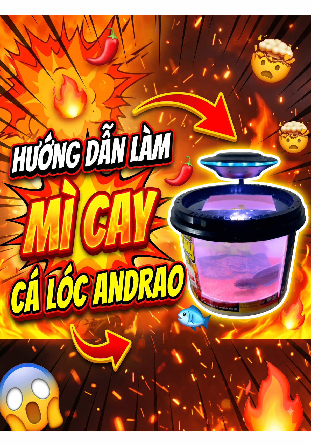 Trả lời @Việt Cường đây anh em clip hướng đẫn làm bể cá tô mì cay 🤣#fish #cacanh #chana #lockieng #becatuche 