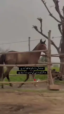 جو خاموش رہ کر وقت کا انتظار کرتا ہے  وہ اکثر ایک وار میں کئی حساب برابر کر دیتا ہے  #foryouviral#CapCut 
