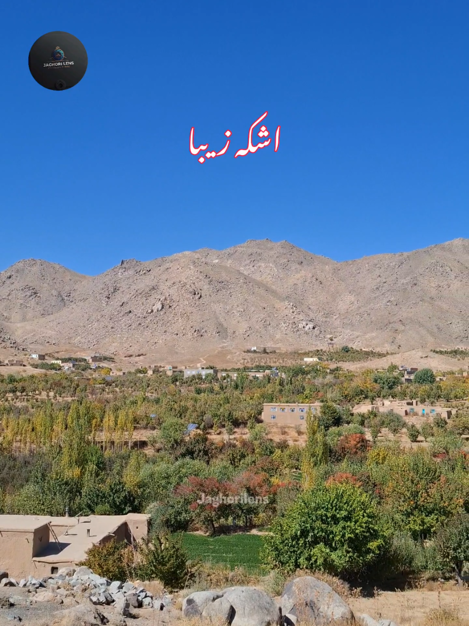 جاغوری ❤️😍 #jaghori #viral #fyp #foryoupage #viralvideo 