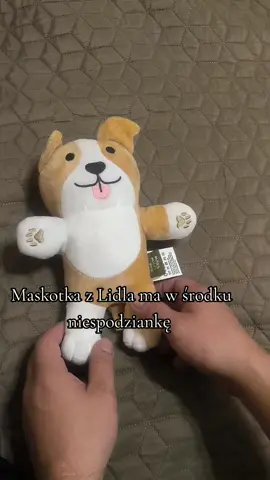 Zabawka dla psa za 1 zł z Lidla# ma w środku niespodziankę #lidl #niespodzianka #pies #dog 