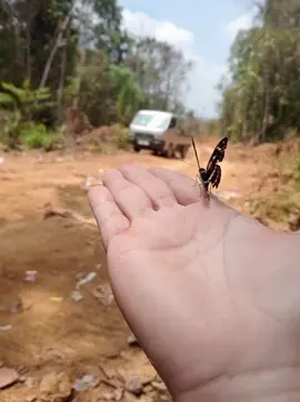 Walau rejeki ku ditakar hanya segelas, tapi aku nekat bawa ember👌🫲