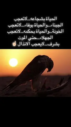 الواحد يجري باش يعيش حر ☝🏻🦅 والكلب يجري باش يرضى عليه سيدهً،هدي حال الدنياء #ليبيا_طرابلس_مصر_تونس_المغرب_الخليج❤️🦅 