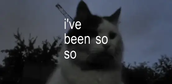 :>