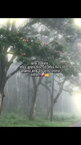 আজ শুক্রবার