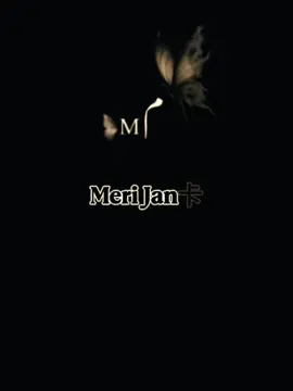 Meri jan