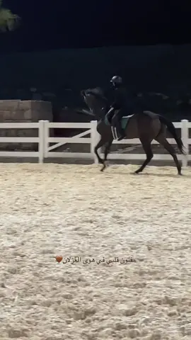 كلاس بدون ركابات✨#horseriding #خيل_وخياله🐎 