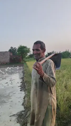 #viralvideo #CapCut #imrankahn 