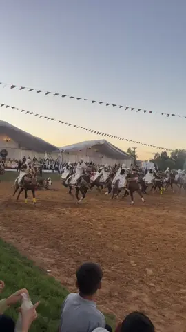 العين حق 🧿#مصراته_ليبيا #خيل_وخياله🐎 #فرسان_ليبيا #طرابلس_ليبيا #ليبيا🇱🇾 