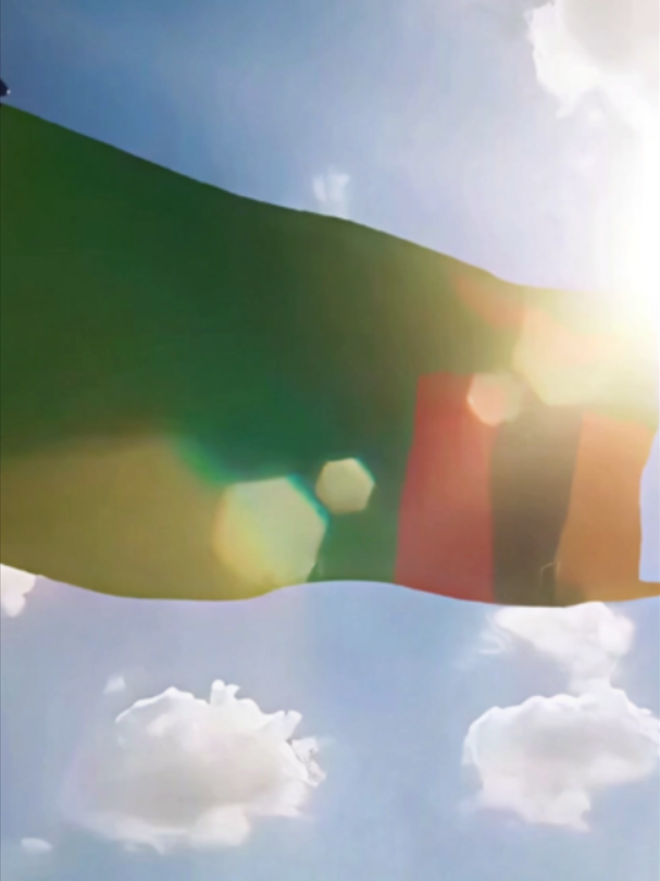 The Independence Edit 🇿🇲 || Happy Independence Day Everyone ✨ || 🎵Never Forget - Sampa the Great || #zambiantiktok🇿🇲🇿🇲 #zedtiktok🇿🇲🇿🇲 #independenceday #zambia #africanhistory