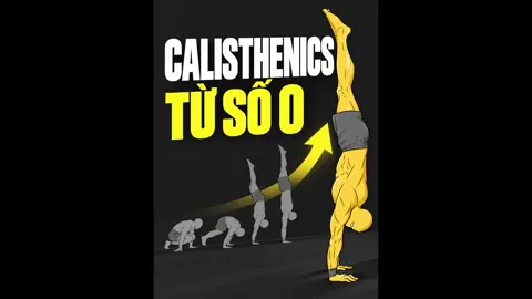 Lộ trình Calisthenics đầy đủ cho người bắt đầu từ con số 0 #gym #tapluyen #healthy #Fitness #calisthenics 