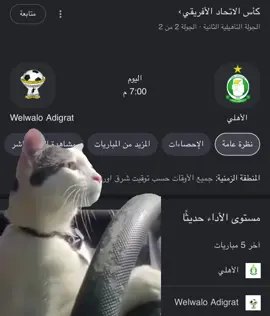 صباح الزعيم 😌☕️