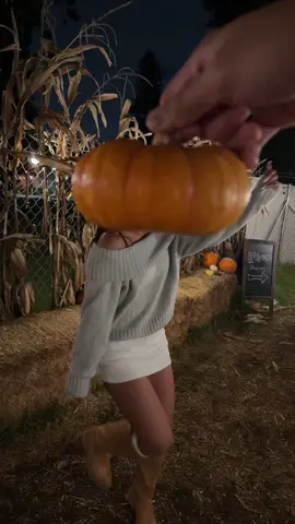 🎃🎃