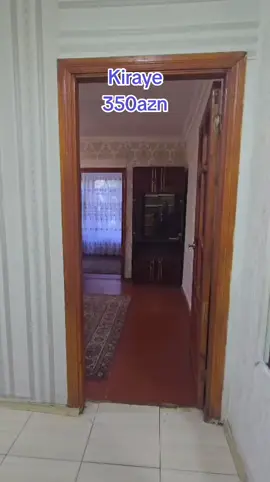 kod273