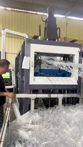 Customer engineers came to our factory to inspect the cup-making machine.#thermofoming #thermoformingpackingmachine #plasticcupmaking 