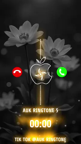 BEST INSTRUMENT RINGTONE FOR ANDROID AND IPHONE ||•||DOWNLOAD RINGTONE NOW hypetone#viralringtone#aukringtone5#treandingringtone#foryoupage @AUK RINGTONE OFF 