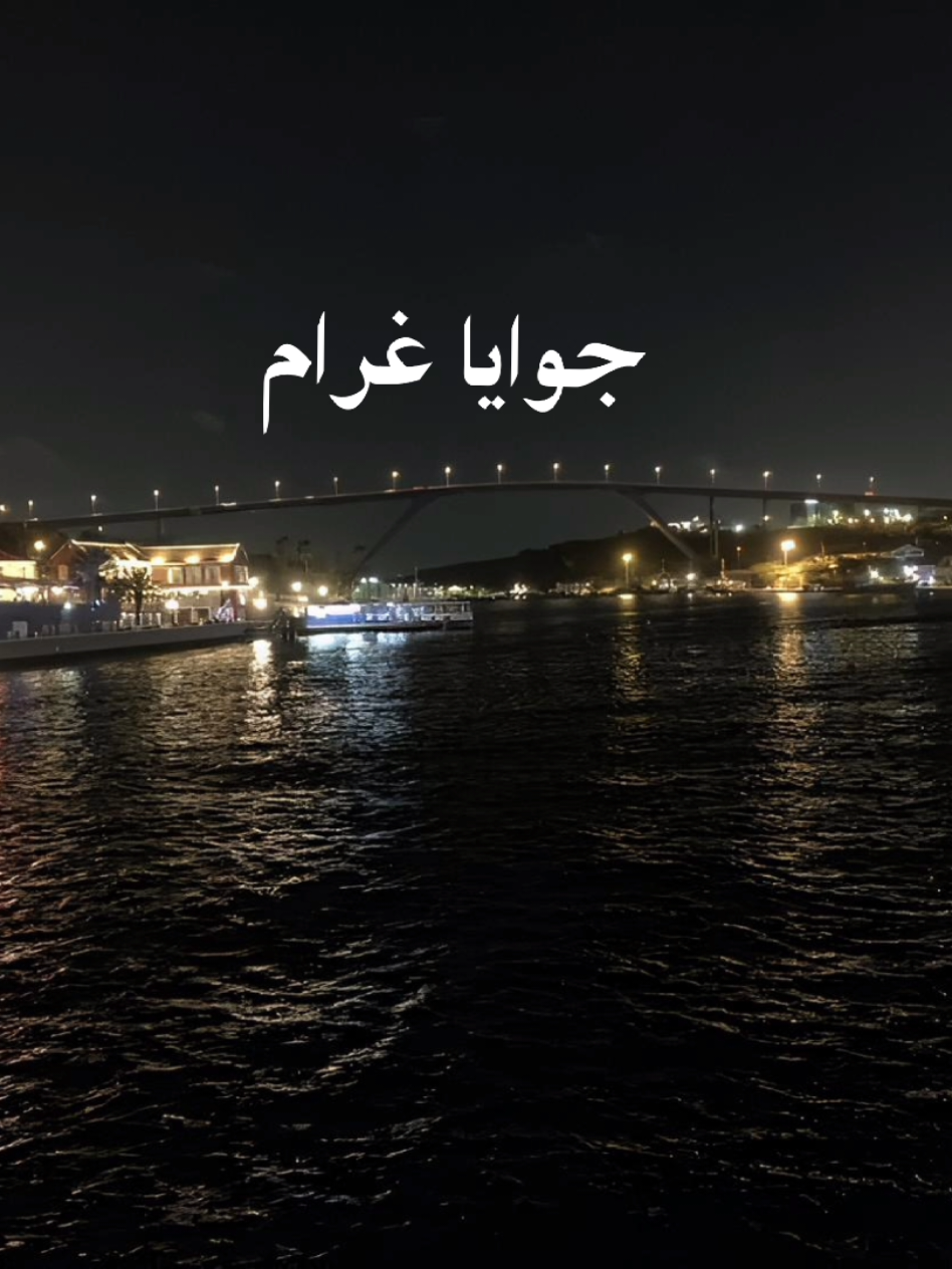 بحب الدنيا وانا وياك💚 #تصميمي #تصميم_فيديوهات #اغاني_بدون_موسيقى #هيثم_شاكر 