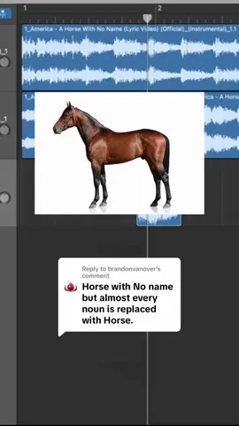 Replying to @brandonvanover there ain't no horse for to give you no horse #garageband #songparody #songlyrics #horsewithnoname 