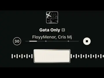 كريس ام جي  - (مجرد قطة)  مترجمة 🖤✨ #gataonly #اغاني_مترجمه #ترجمة_اسباني #كريس_ام_جي