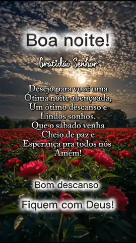 Boa Noite!🌟