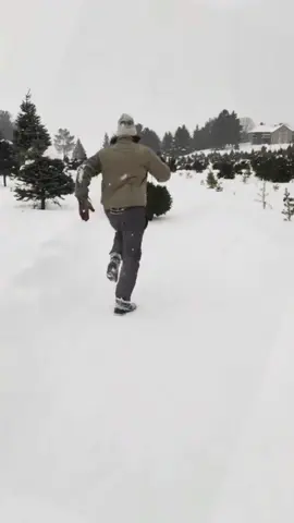 The funniest thing you'll see today 😂snow funny#dogsfunnyvideo #animal #dog #for #fypシ゚viral🖤tiktok 