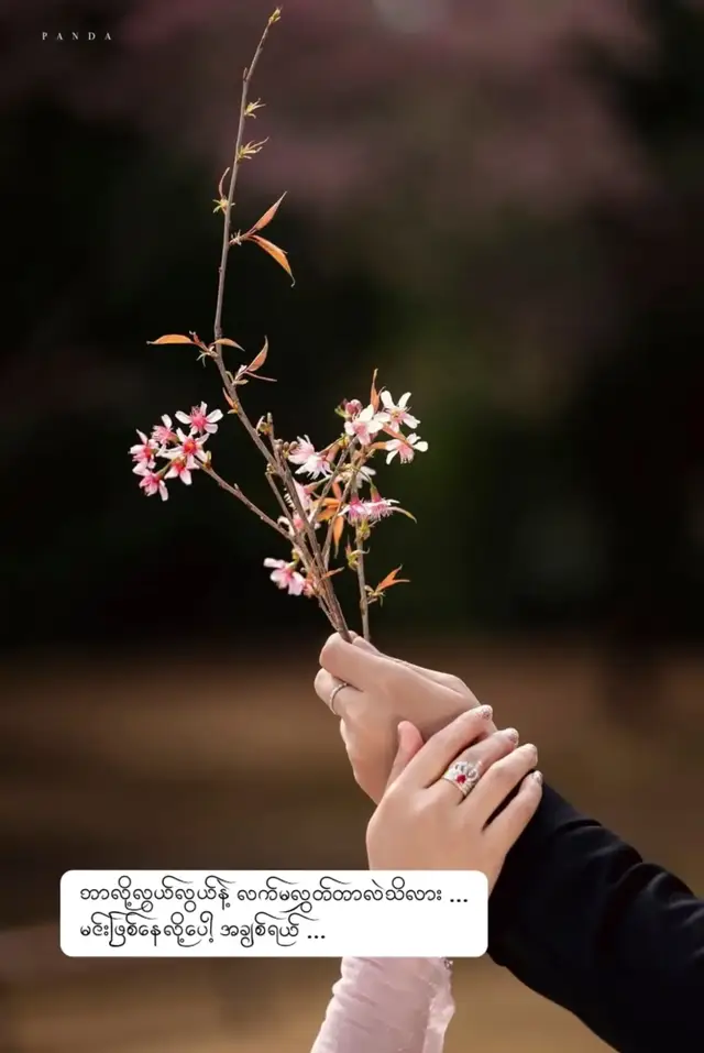 ကမ္ဘာကြီးပေါ်မှာ လူတွေအများကြီးပါ ဒီတစ်ယောက်နဲ့ ဝေးခဲ့ရင်လည်း နောက်တယောက်နဲ့ ထပ်ဆုံ နိုင်ပြီး ထပ်ချစ်ဖြစ်ဦးမှာပဲ ။ ဒါပေမယ့် ဘာလို့ ဒီလူနဲ့ပဲ ဖြတ်သန်းနိုင်ဖို့ ကြိုးစားနေလဲဆို ရင် အသက်တွေကြီးလာမယ့် အနာဂတ်အထိကို ကြိုတွေးထားမိလို့ပါ ။ နေပူပူ မိုးရွာရွာ ခါးလေးဖက် လက်လေးတွဲပြီး သွားရမယ့် မြင်ကွင်းကို ပုံဖော်မိတိုင်း သူ့ ဘေးကလူဟာ ကိုယ်ပဲဖြစ်ချင်တယ် ။ ဘာလေးဝတ် ဘယ်လိုလေးသွားဆိုပြီး သူ့ရဲ့အင်္ကျီ အသုံးအဆောင် ဖိနပ်လေး နာရီလေးကအစ သူ့အကြိုက်အတိုင်း စီစဉ်ဝယ်ခြမ်းပြီး ဆင်မြန်းပေးရတဲ့သူက ကိုယ်ပဲဖြစ် ချင်တယ် ။ လက်တွဲဖော်တစ်ယောက်ရဖို့များ အားစိုက်ထုတ်စရာမလိုဘဲ ပိုလွယ်တဲ့သူကိုပဲ ရွေးချယ်လို့မရဘူးလား မဟုတ်ဘူး ရပါတယ် ။ ဘဝခရီးရဲ့ အဓိပ္ပါယ်တွေကတော့ အများကြီး ခြား နားသွားတယ် ကိုယ်ချစ်တဲ့သူကို ပိုင်ဆိုင်ရဖို့ ညှိယူရတဲ့ အခြေအနေတွေ ခက်ခဲလိုက်တာလို့ထင်တဲ့ အခိုက်အတန့်တွေ စောင့်ဆိုင်းရတဲ့ကာလတွေ ကွာဟနေတဲ့မတူညီမှုတွေက များပါလိမ့်မယ် ။ ဘယ်လောက်ပဲများများ အတူတူအိုမင်းသွားခွင့်ရမယ့် အနာဂတ်ခရီးရှည်ကြီးနဲ့ ယှဉ်လိုက်ရင်တော့ ပိုင်ဆိုင်နိုင်ဖို့ ကြိုးစားရတာဟာ မပြောပလောက်တဲ့ အချိန်အပိုင်းအခြား လေးပါပဲ ။ ပင်ပန်းရတာတွေရှိလည်း ဘာလို့လွှတ်မချတမ်း ဆုပ်ကိုင်ထားနေလဲလို့ မေးရင် 