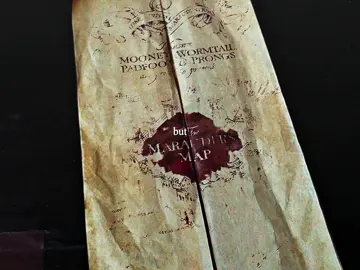 but those years are over | sc: arcturusmoony | #maraudersera #siriusblack #jamespotter #peterpettigrew #remuslupin 