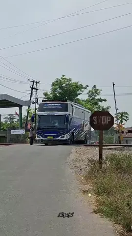 ganteng bener🤩💙🖤 @avatrimerch. @kawan.sonic #maniabuscomunity #sonic #cinematicbus #masukberanda #fypp 