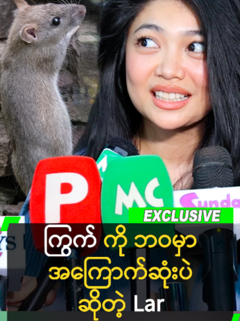 ‘ဘဝမှာ သရဲလည်း မကြောက်ဘူး .. မြွေလည်း မကြောက်ဘူး ဒါပေမယ့် ကြွက်ကို အကြောက်ဆုံးပဲ။ ကြွက် နဲ့ ဆင်တူတာကို မြင်တာနဲ့ အော်တယ်’ လို့ ပြောလာတဲ့ Lar။ #MyatLaraHtun #Lara #သရုပ်ဆောင် #MyanmarActress #‘ဇွန်ဘီပလာဇာရုပ်ရှင် #MyanmarCelebrity
