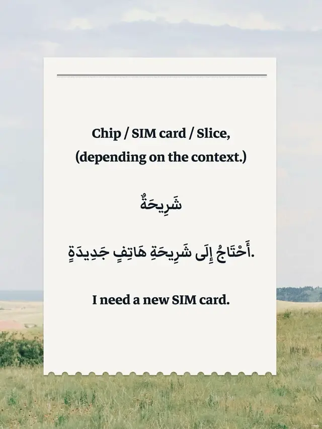 Chip / SIM card / Slice,  (depending on the context.)  شَرِيحَةٌ أَحْتَاجُ إِلَى شَرِيحَةِ هَاتِفٍ جَدِيدَةٍ. I need a new SIM card.