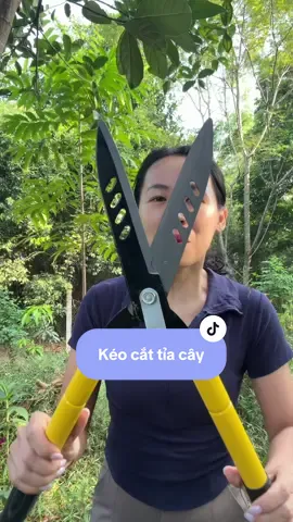 Kéo cắt tỉa hàng rào cây cảnh #xuhuong #ngocminhminh89 #keocattiacanhcay #keocathangrao 