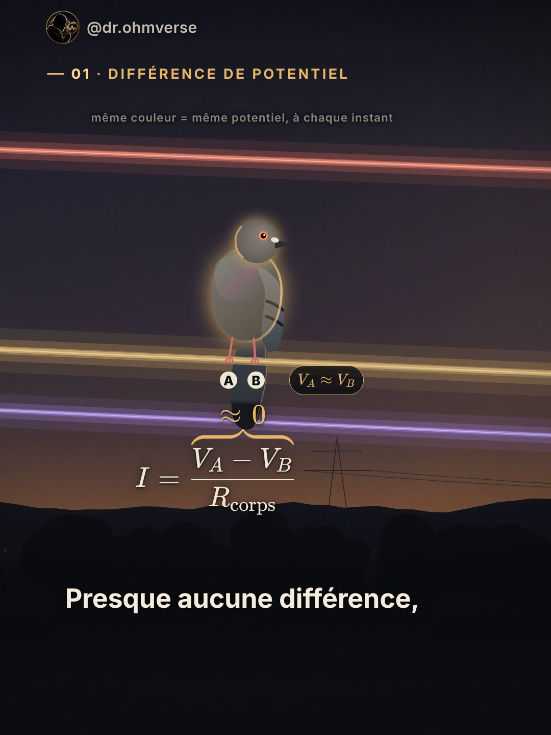 EP4 · Pourquoi les oiseaux ne s'électrocutent pas ⚡🐦 Deux pattes sur le même fil = même potentiel : (presque) pas de différence de potentiel, donc (presque) pas de courant. ❓ Comment un technicien peut-il toucher une ligne sous tension à mains nues ? Réponds en commentaire 👇 Voix : elevenlabs.io #drohmverse #electricite #physique #hautetension #oiseaux 